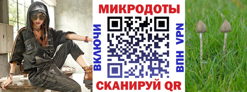 Псилоцибиновые грибы GOLDEN TEACHER  даркнет как зайти  Светогорск 
